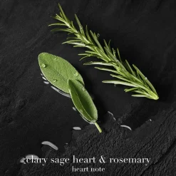 Armani Acqua di Giò Parfum Refill Online