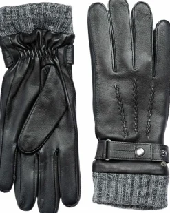 glove Tristan><noscript><img width=