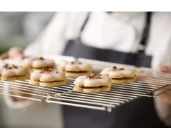 Blomsterberg Afkølingsrist foldbar 48 x 32,5 x 1,5 cm Stål Clearance