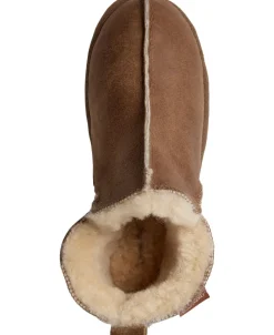 ANNIE><noscript><img width=