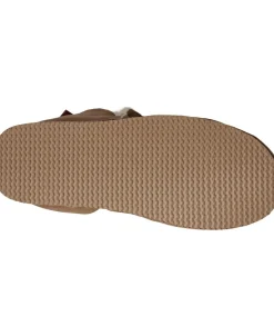 ANNIE><noscript><img width=