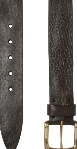 Saddler Anten Shiny brass Dk.brown Best