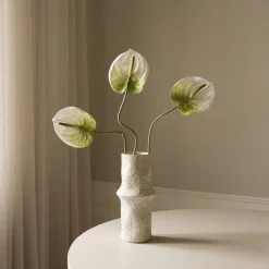 Botané Anthurium Flower Hot