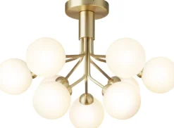 Apiales 9 Ceiling><noscript><img width=