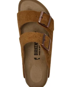 Arizona LEVE><noscript><img width=