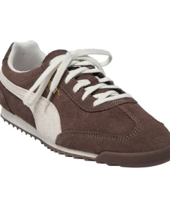 Arizona SD><noscript><img width=