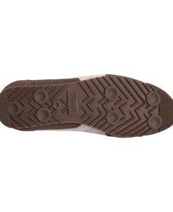 Arizona SD><noscript><img width=