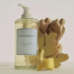 Tromborg Aroma Therapy Deluxe Soap Ginger 20th Anniversary Hot