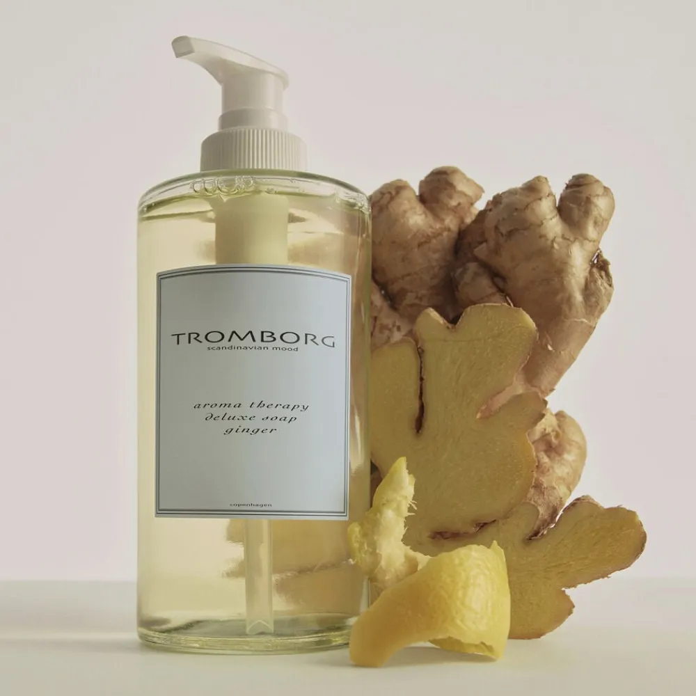 Tromborg Aroma Therapy Deluxe Soap Ginger 20th Anniversary Hot