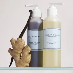 Tromborg Aroma Therapy Deluxe Soap Ginger Online