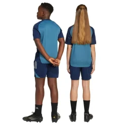 adidas ARSENAL TR SHORTS Blå New