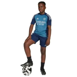 adidas ARSENAL TR SHORTS Blå New