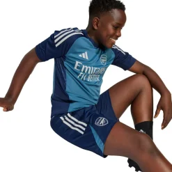 adidas ARSENAL TR SHORTS Blå New