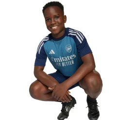 Børn adidas ARSENAL TR T-SHIRT