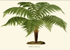 Artimuus - Artimuus 102>Poster & Frame