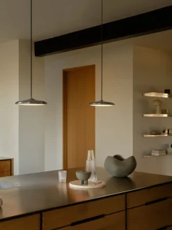 DFTP ARTIST 25 PENDANT LED STAINLESS STEEL