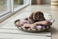 Ashi Hundelegetøj - Stor><noscript><img width=