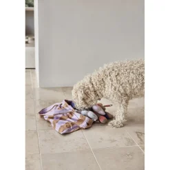 Ashi Hundelegetøj - Stor><noscript><img width=