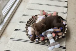 OYOY MINI Ashi Hundelegetøj - Stor