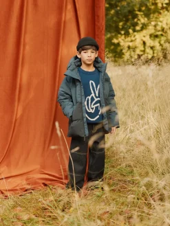 Askane><noscript><img width=