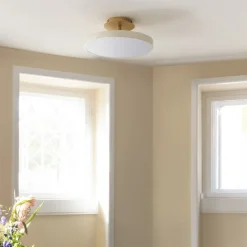 UMAGE Asteria Up Hot