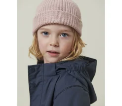 Atlas><noscript><img width=