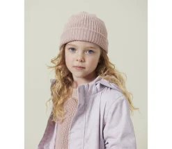 Atlas><noscript><img width=