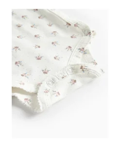 Belita><noscript><img width=