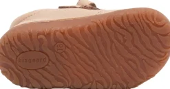 hale v><noscript><img width=