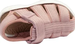 niki><noscript><img width=