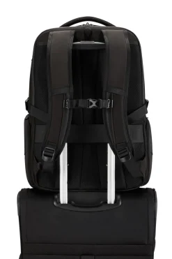 BIZ2GO><noscript><img width=