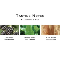 Jo Malone London Blackberry & Bay Cologne