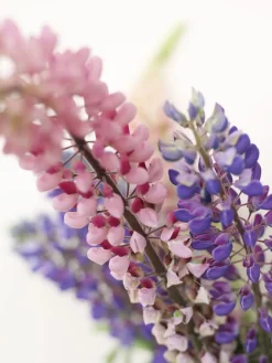 Studio About BUBBLE TUBE, LARGE, ROSE/ROSE, 90270R