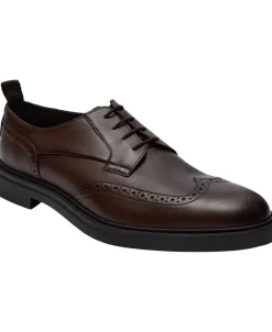 BOSS Calev_Derb_ltbrfb