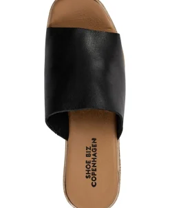 Candle><noscript><img width=