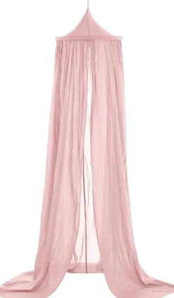 Vanilla Copenhagen Canopy Rose Best