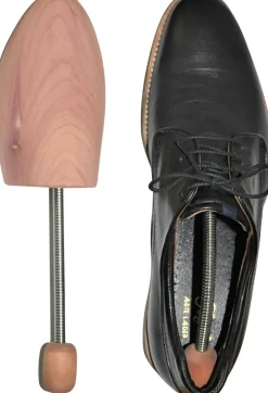 Dame Nøgle & Hælebar Ceder spiral