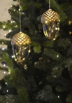 Celina Agern>Sirius Sale