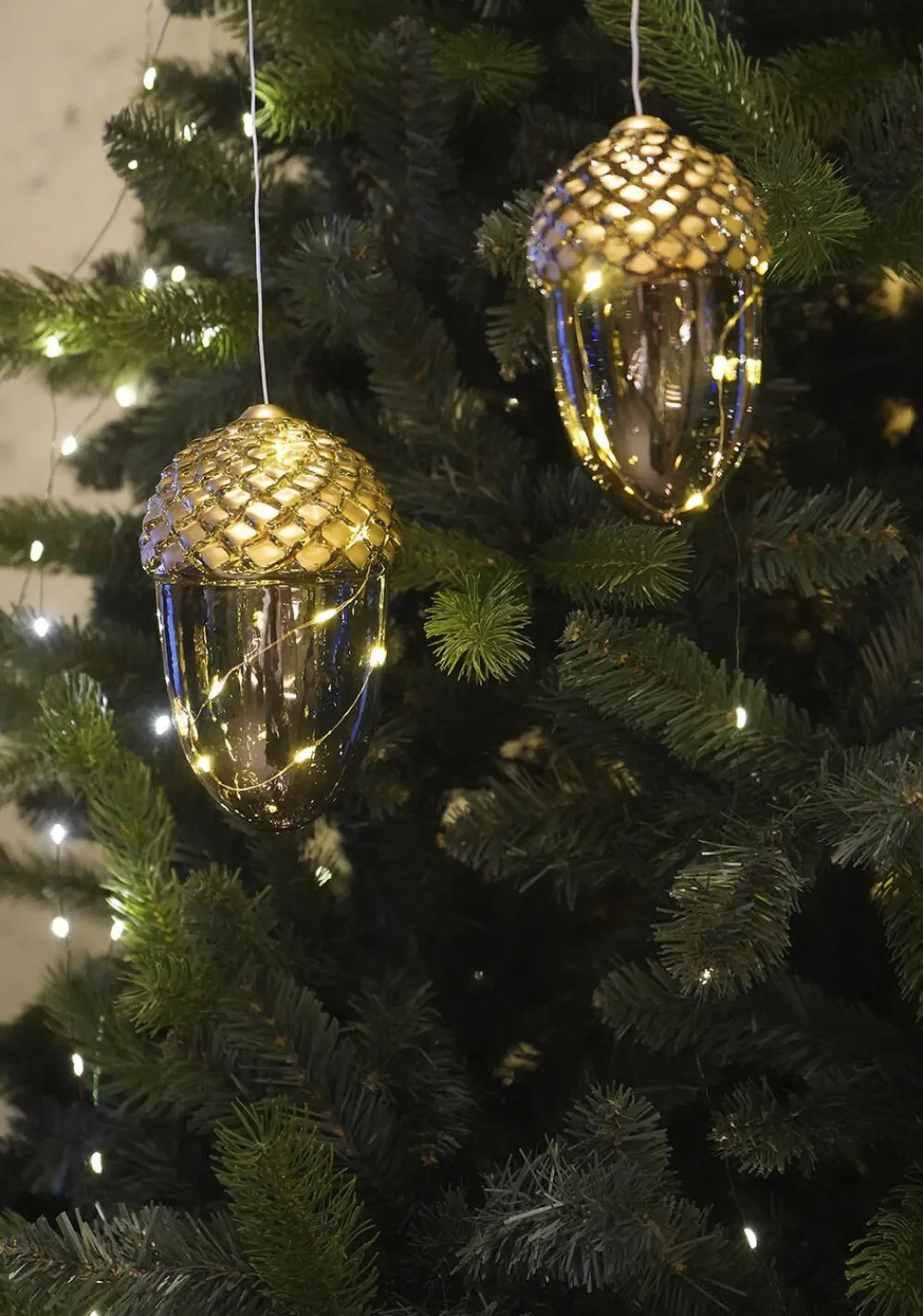 Celina Agern>Sirius Sale