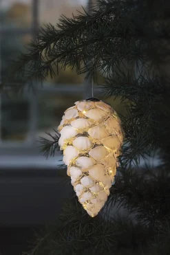 Celina Kogle>Sirius Best