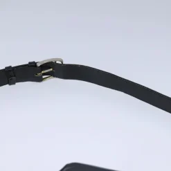 Celine Crossbody Bag><noscript><img width=