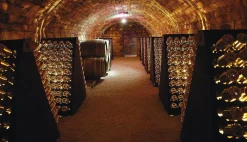 Bøger Champagne - Wine of Kings and the King of Wines