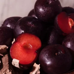 Sol de Janeiro CHEIROSA 40 MIST 240ML Discount