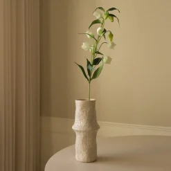 Chinese Lantern Lily Flowers>Botané Hot