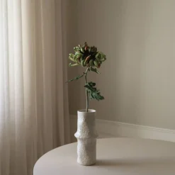 Botané Chrysanthemum Flower