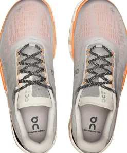 On Cloudmster 2 Løbesko