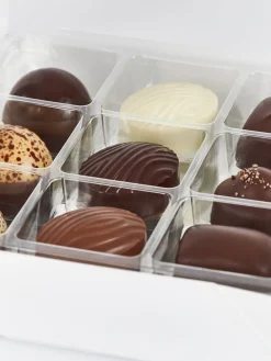 Summerbird Collection 9 New