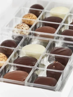 Summerbird Collection 18 New