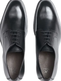 Lloyd CORE PLUS 110 Black Online