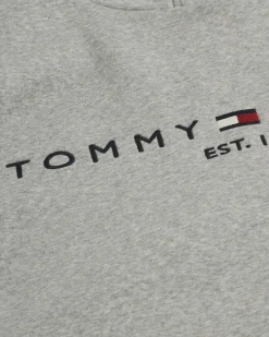 Tommy Hilfiger CORE TOMMY LOGO HOODY Lilla